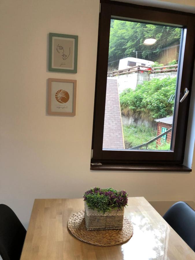 Vila Irina Kopaonik - Apartman Jovana Bagian luar foto