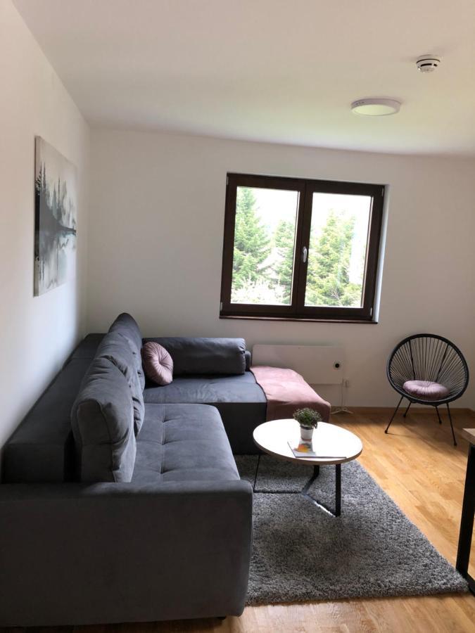 Vila Irina Kopaonik - Apartman Jovana Bagian luar foto