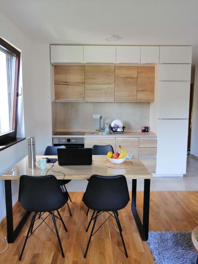 Vila Irina Kopaonik - Apartman Jovana Bagian luar foto
