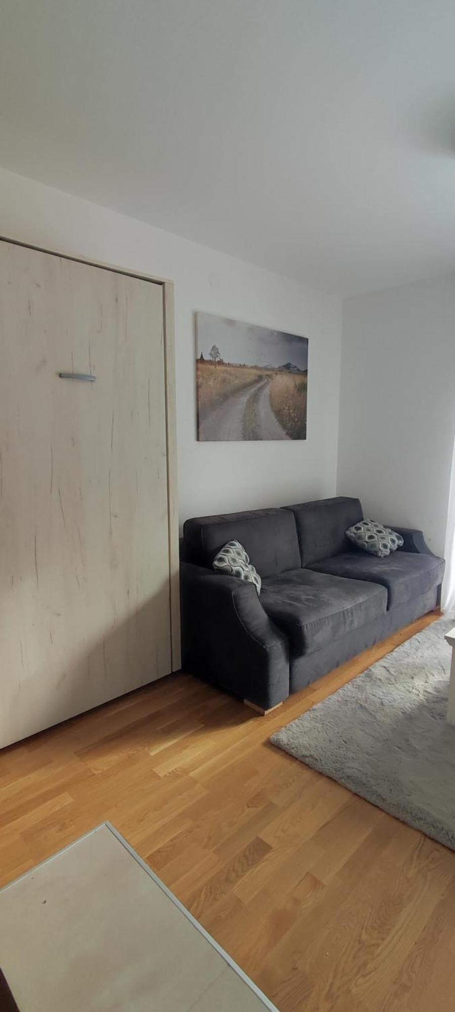 Vila Irina Kopaonik - Apartman Jovana Bagian luar foto